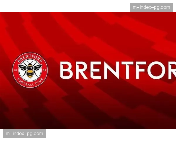 积分榜中游集团竞争白热化 埃弗顿布伦特福德同积40分